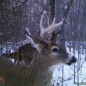 Meet your Posher, Sam